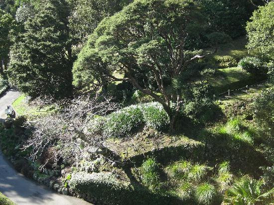 惠灵顿植物园景点图片