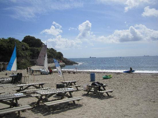 Wavecrest Scuba-纽奎必去景点