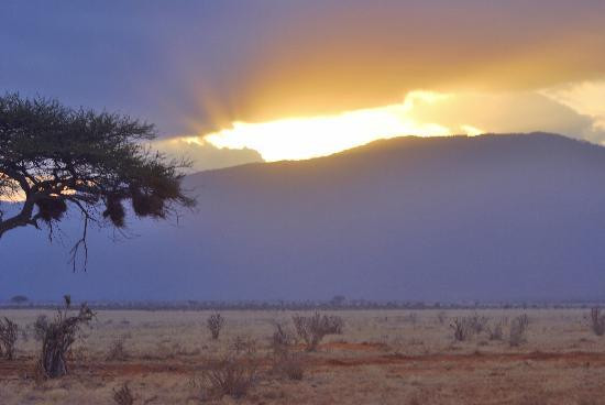 F. King Tours & Safaris-蒙巴萨必去景点