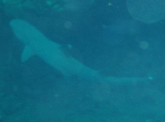 Catamaran Kahanu-埃里埃利必去景点