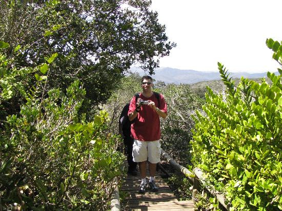 Fray Jorge National Park-拉塞雷纳必去景点