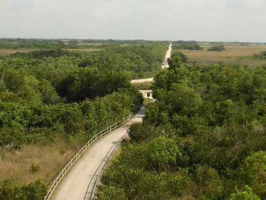 鲨鱼谷-大沼泽国家公园必去景点