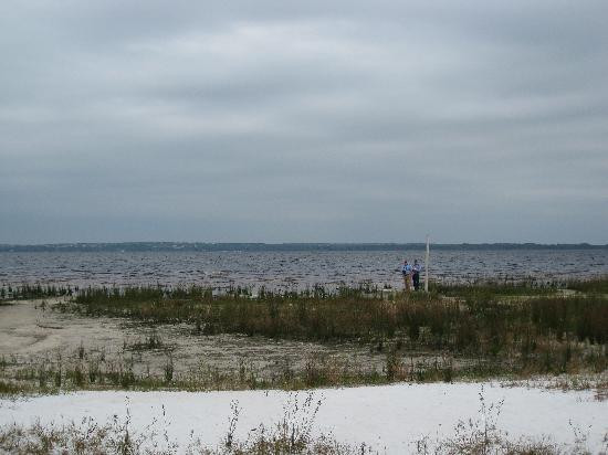 Lake Louisa State Park景点图片