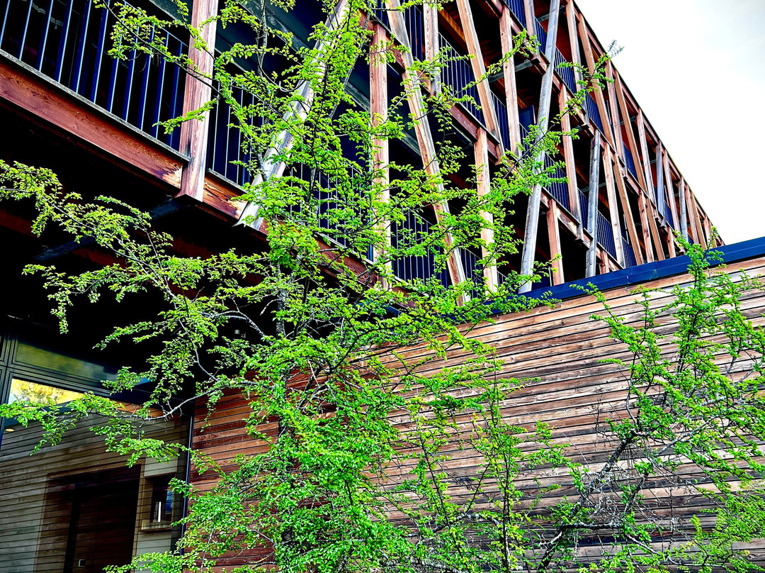 Bora HotSpaResort主图