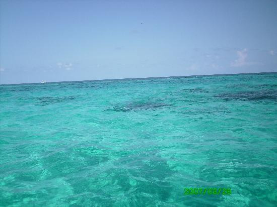 Fat Fish Adventures-大开曼岛必去景点