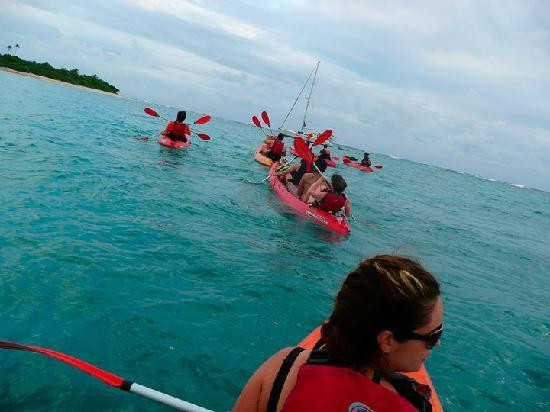 Abe's Snorkeling and BioBay Tours景点图片