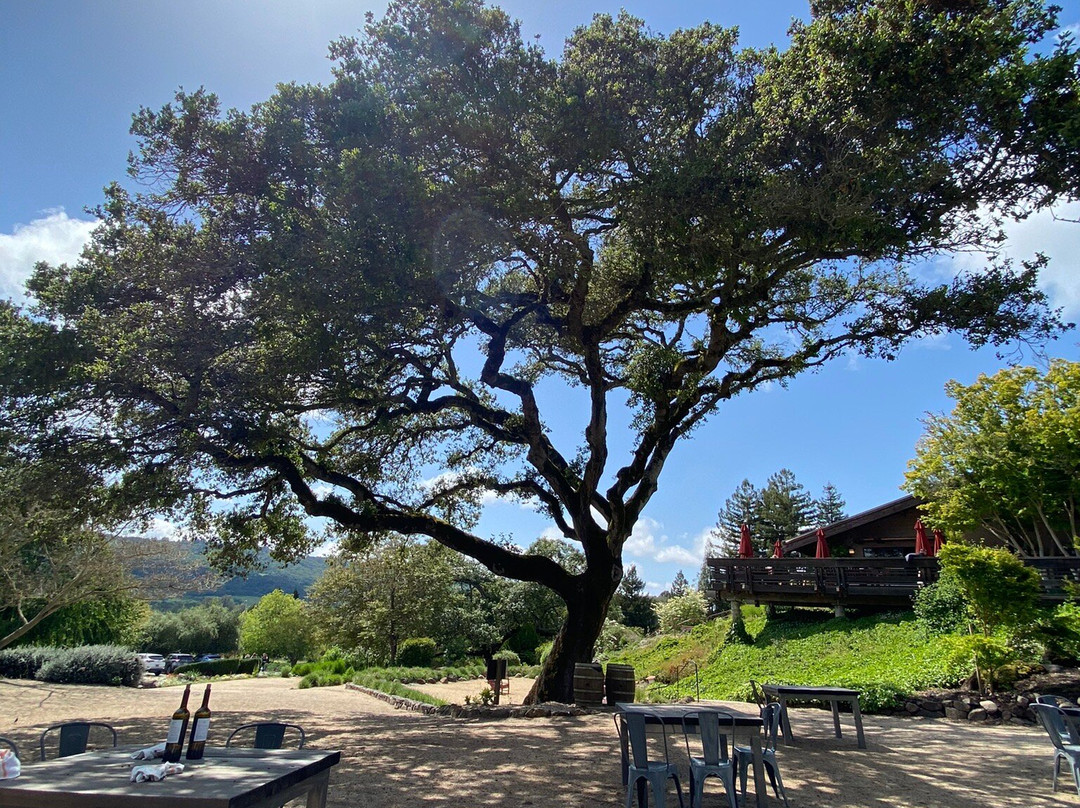 Matanzas Creek Winery景点图片