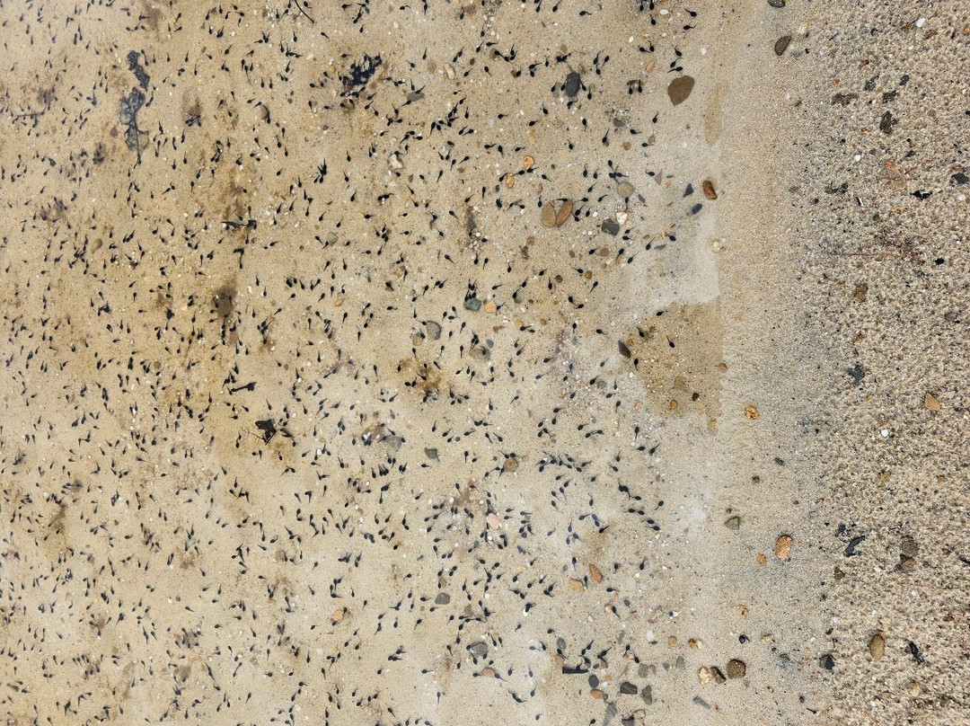 Sherando Lake Recreation Area-Lyndhurst必去景点