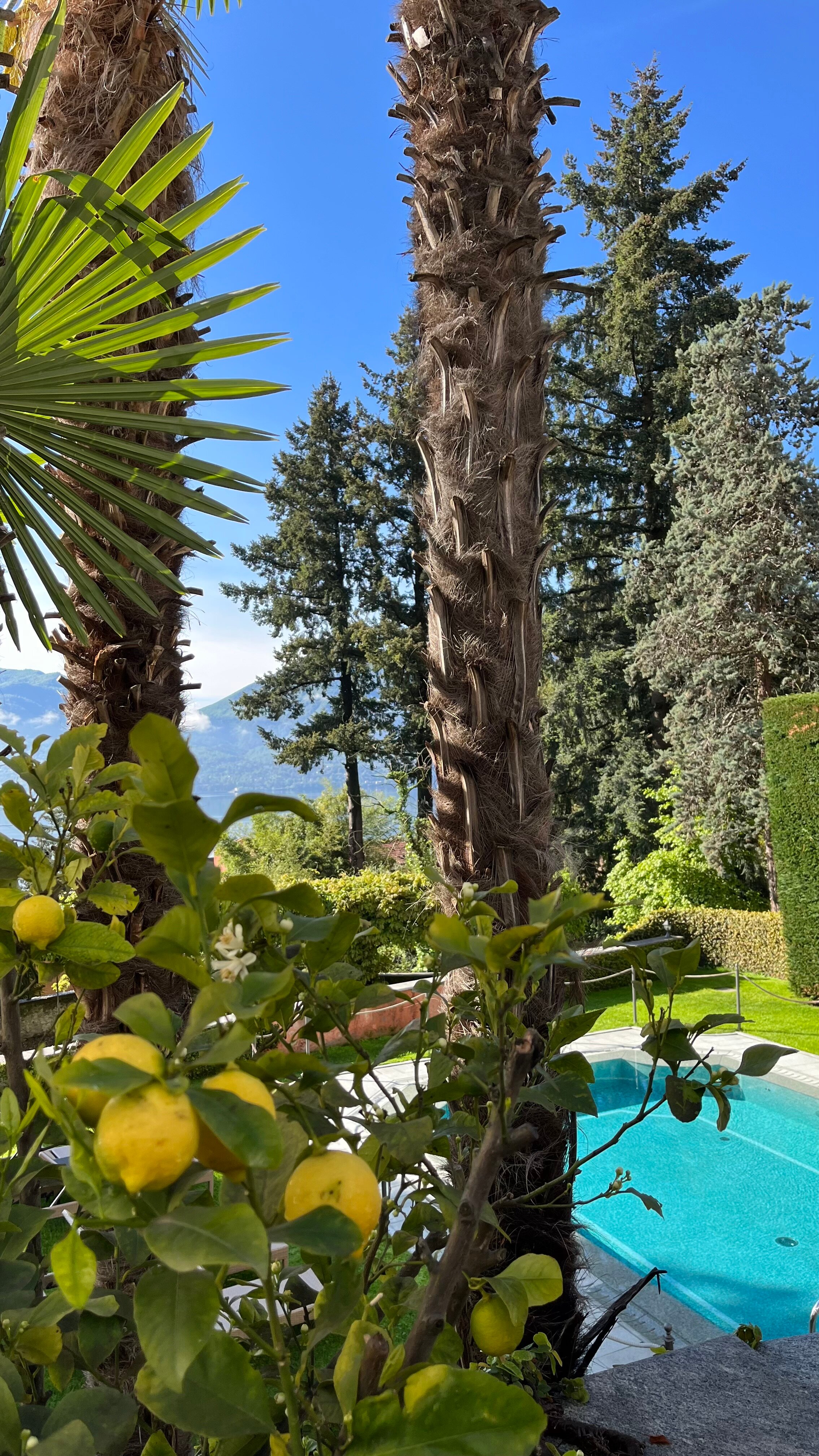 Relais Villa Margherita-泳池