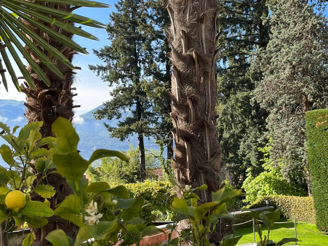 Relais Villa Margherita主图