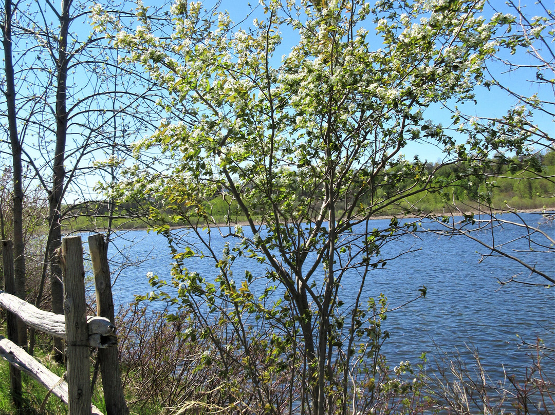 Réserve naturelle du Marais-Léon-Provancher-Neuville必去景点