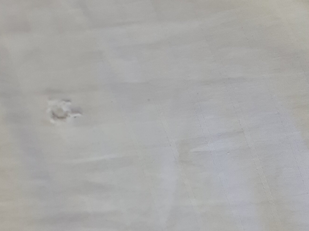 The Colonial Manek Manor主图