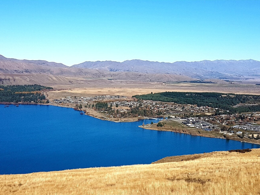 Mount John Summit Circuit Track景点图片