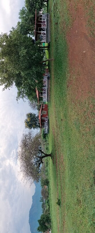 The Wild Forest Resorts主图