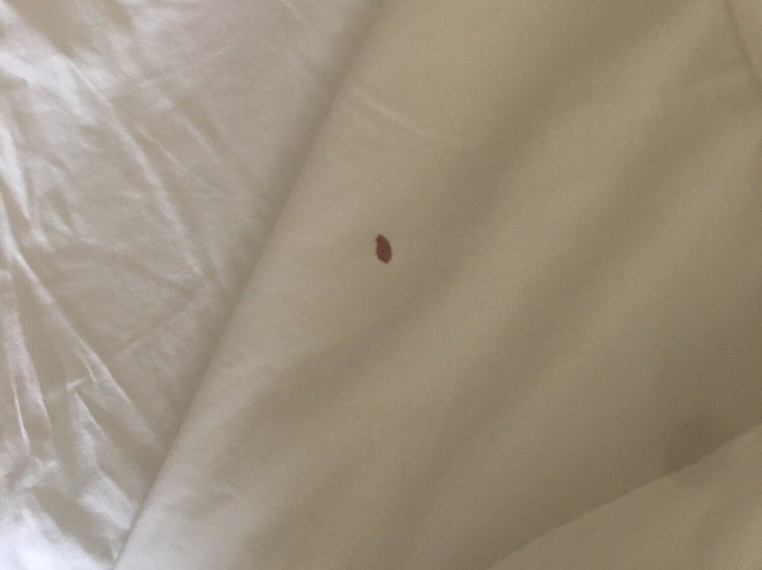 Days Inn by Wyndham El Reno主图