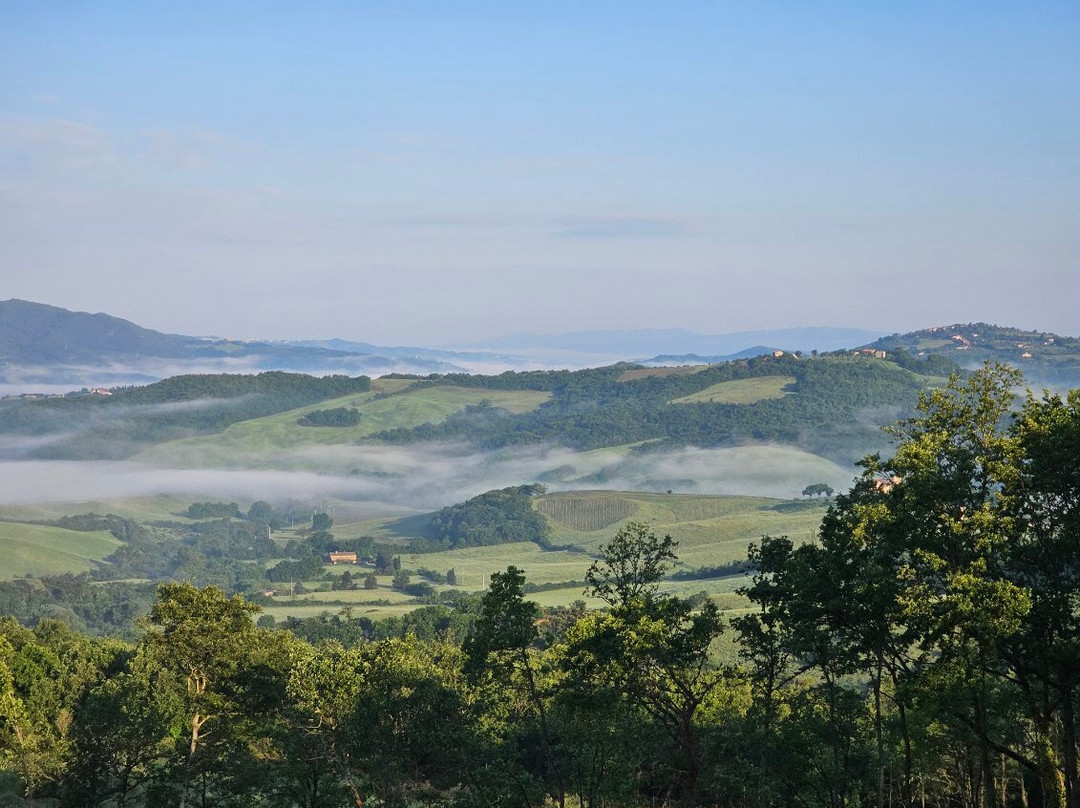 Agriturismo Le Bolli主图