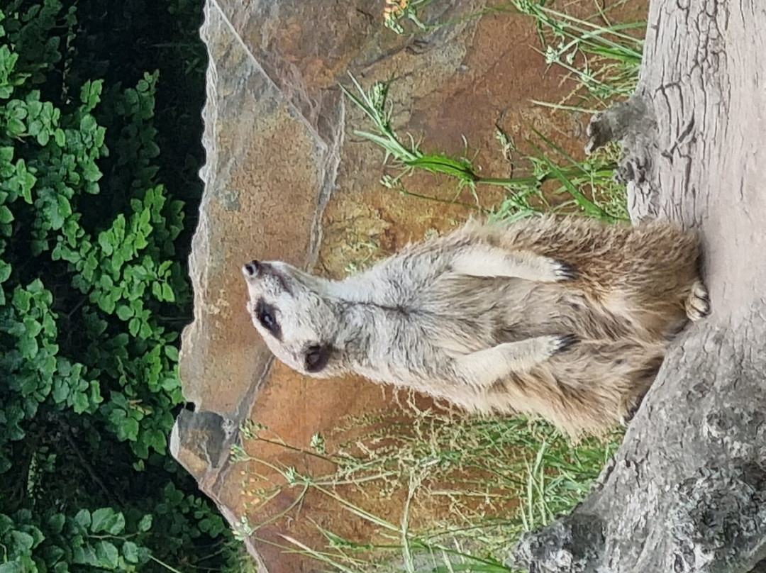 Marcelle Natureza-Outeiro de Rei必去景点
