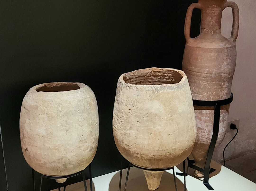 Museo Archeologico Nazionale della Lomellina景点图片