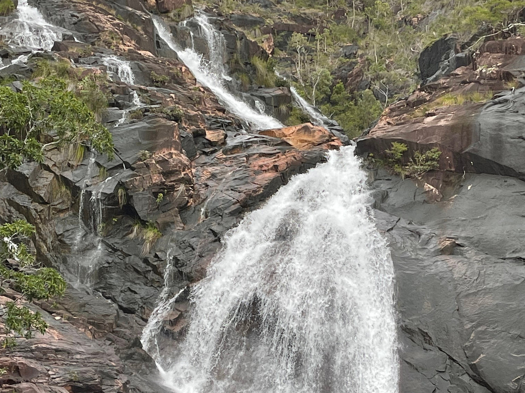 Hinchinbrook Island-卡德威尔必去景点