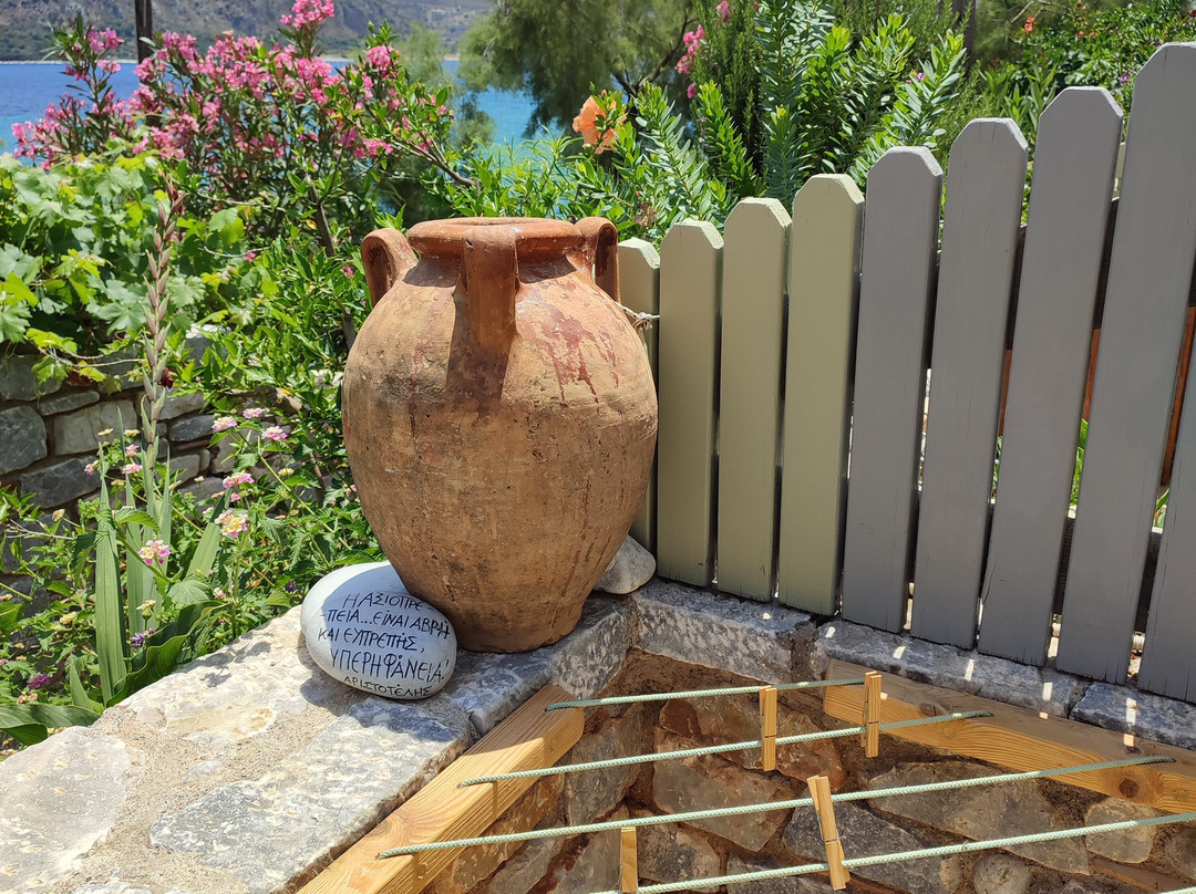 Elixirion Guest House主图