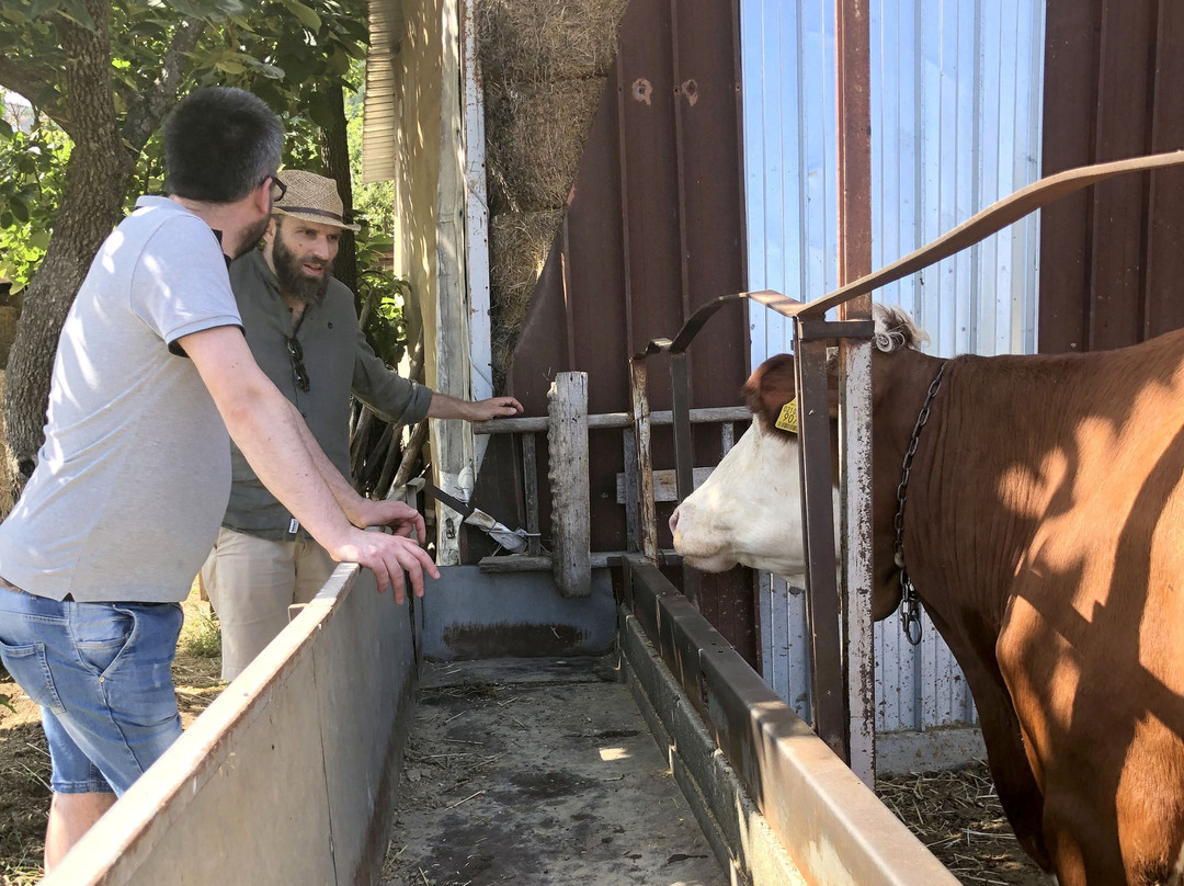 阿杰罗拉旅游景点-La Fattoria del Castello