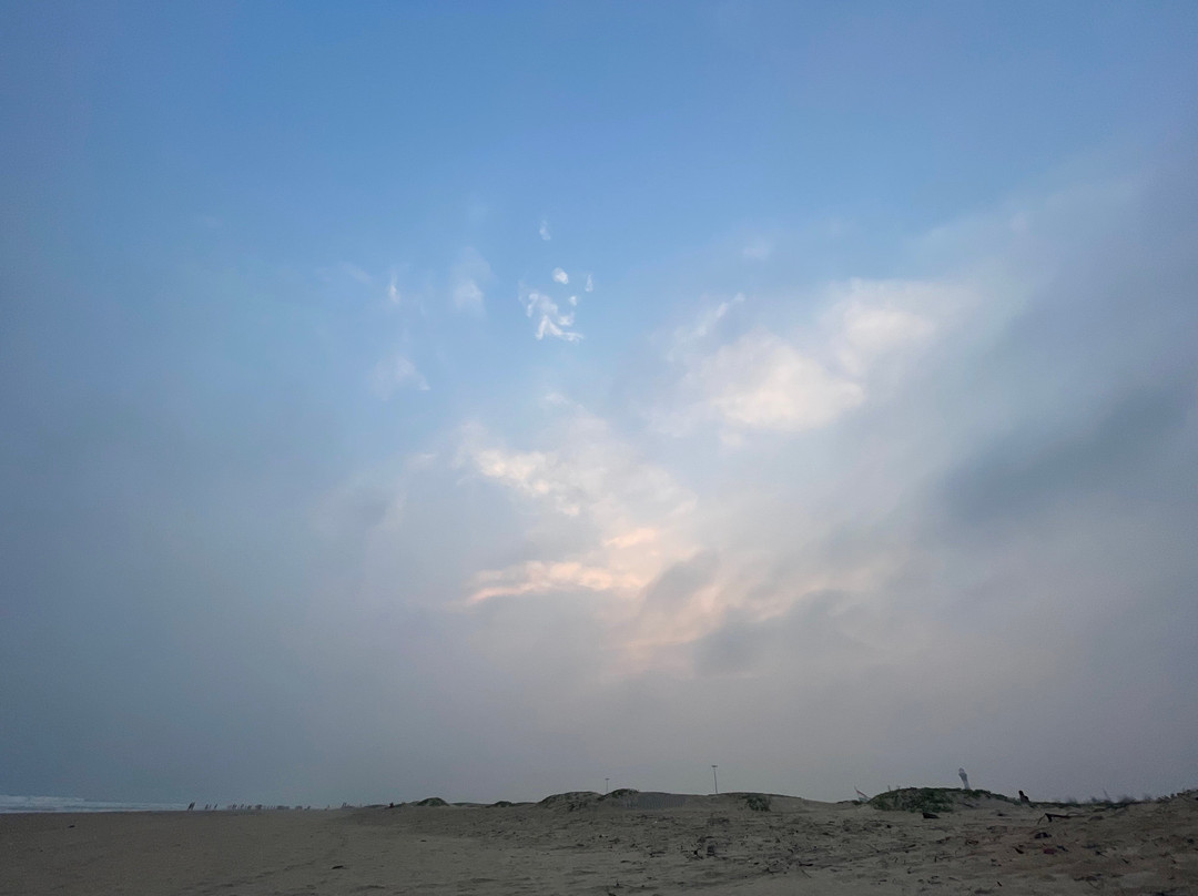 Paradeep Sea Beach景点图片