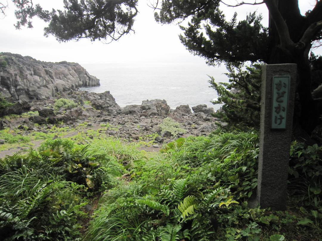 城崎海岸景点图片