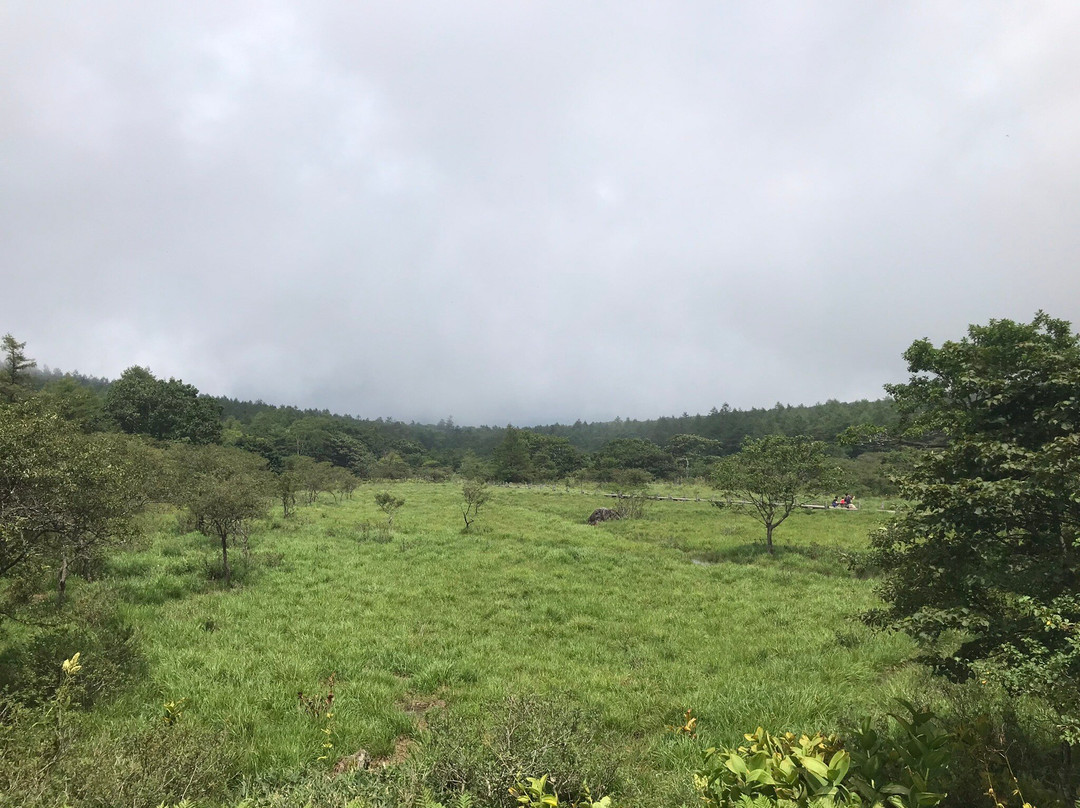 Numappara Marshland-那须盐原市必去景点