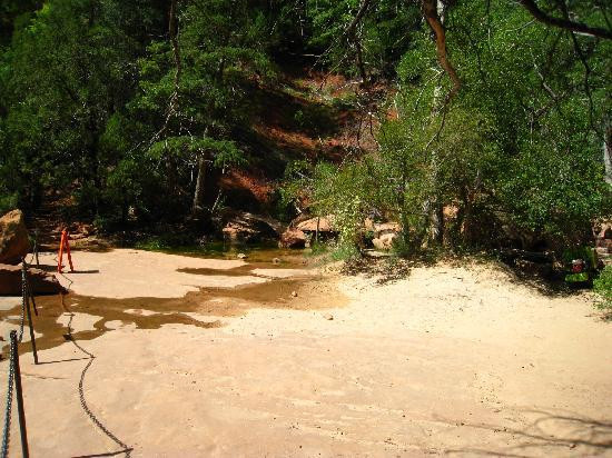 Emerald Pools-锡安国家公园必去景点