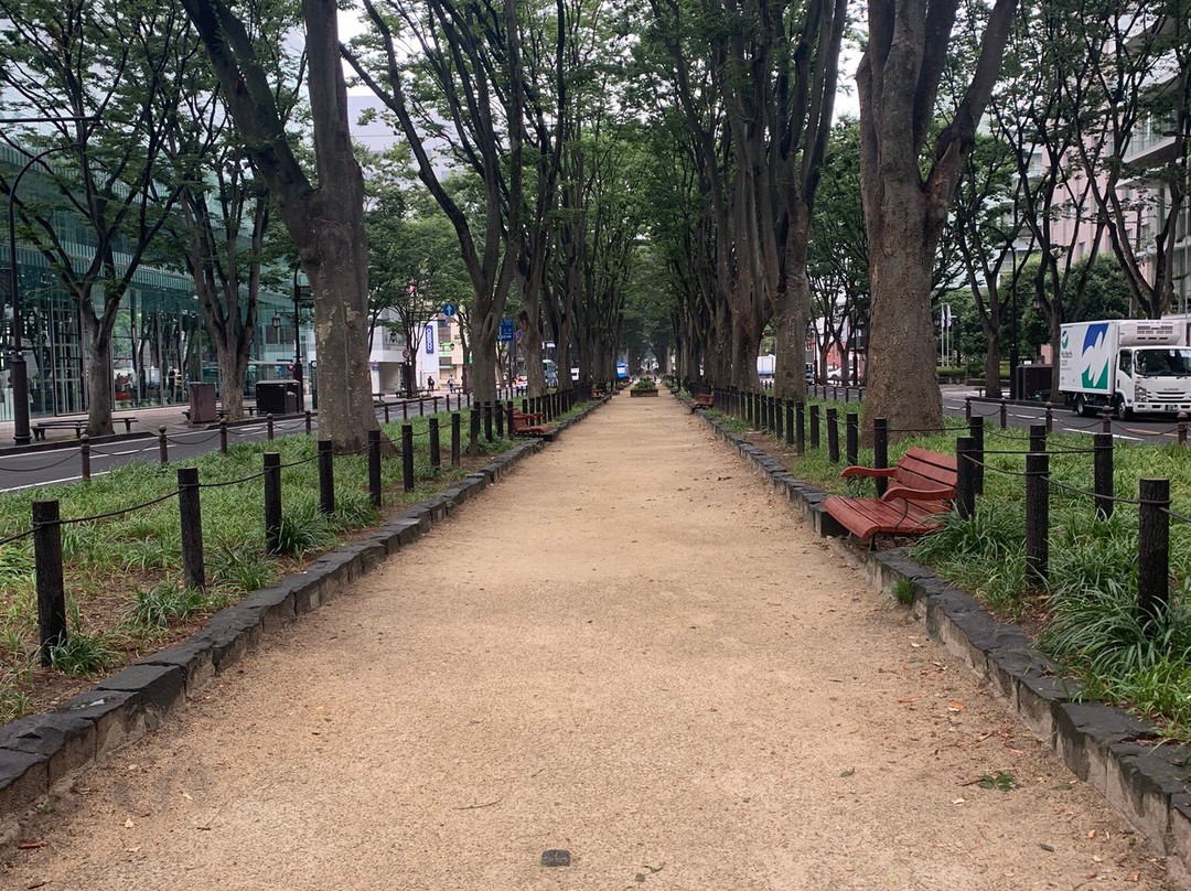 定禅寺大道•榉树林-仙台市必去景点