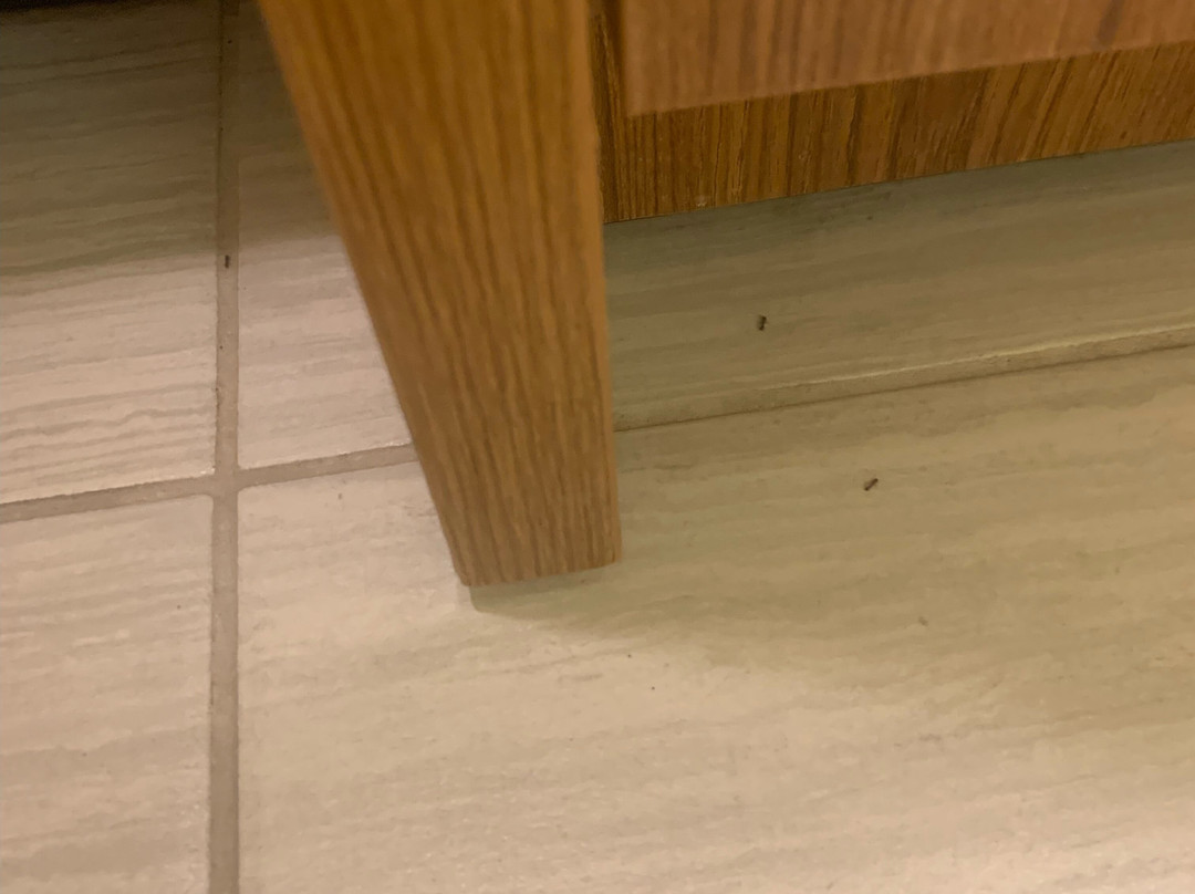 Home2 Suites by Hilton Minneapolis Bloomington主图