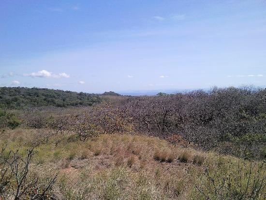 Parque Nacional Rincón de la Vieja景点图片