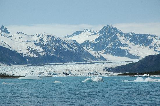 Bear Glacier-苏厄德必去景点