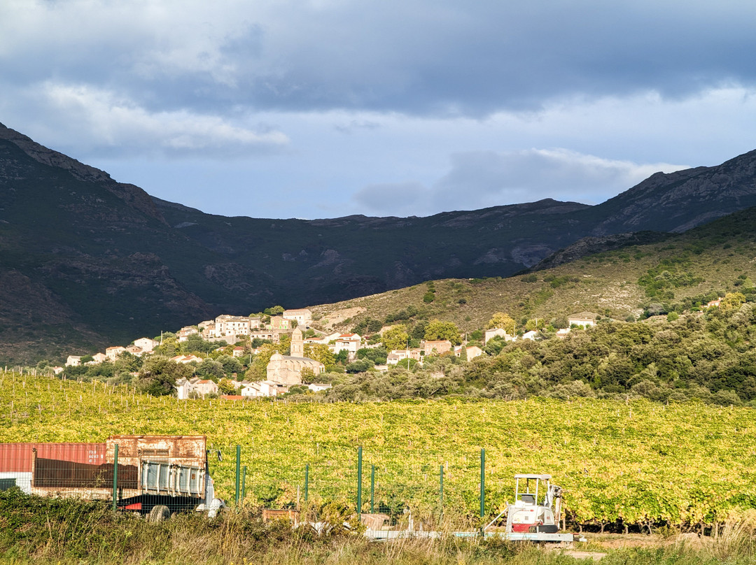 Corsica Wine Tours景点图片