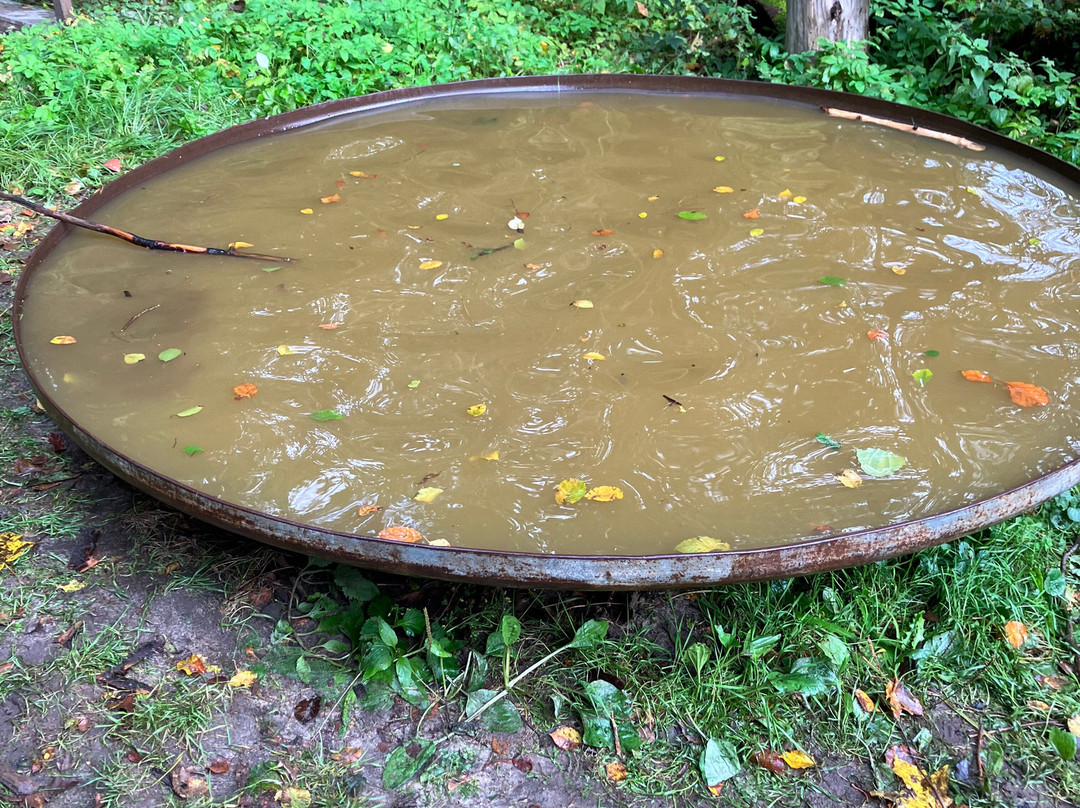Naturum Göhrde Waldmuseum-Gohrde必去景点