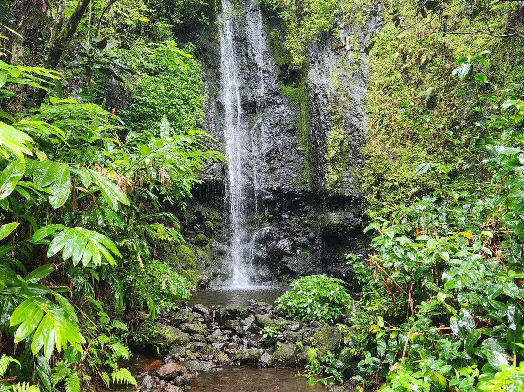 Vaihiria Quad Tahiti景点图片