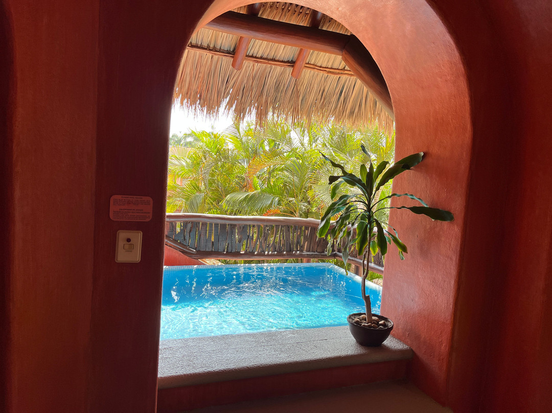 Villa Carolina Hotel主图