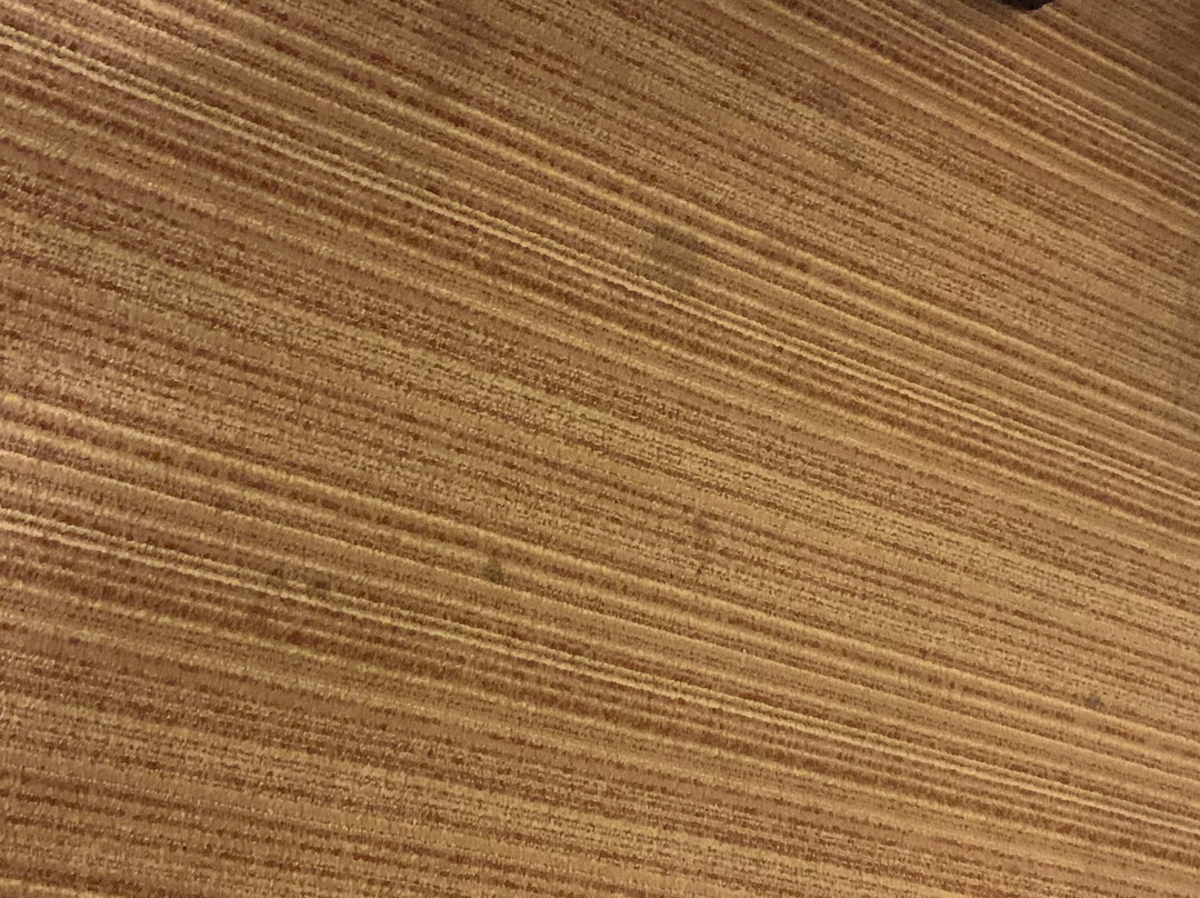 Courtyard by Marriott Florence主图