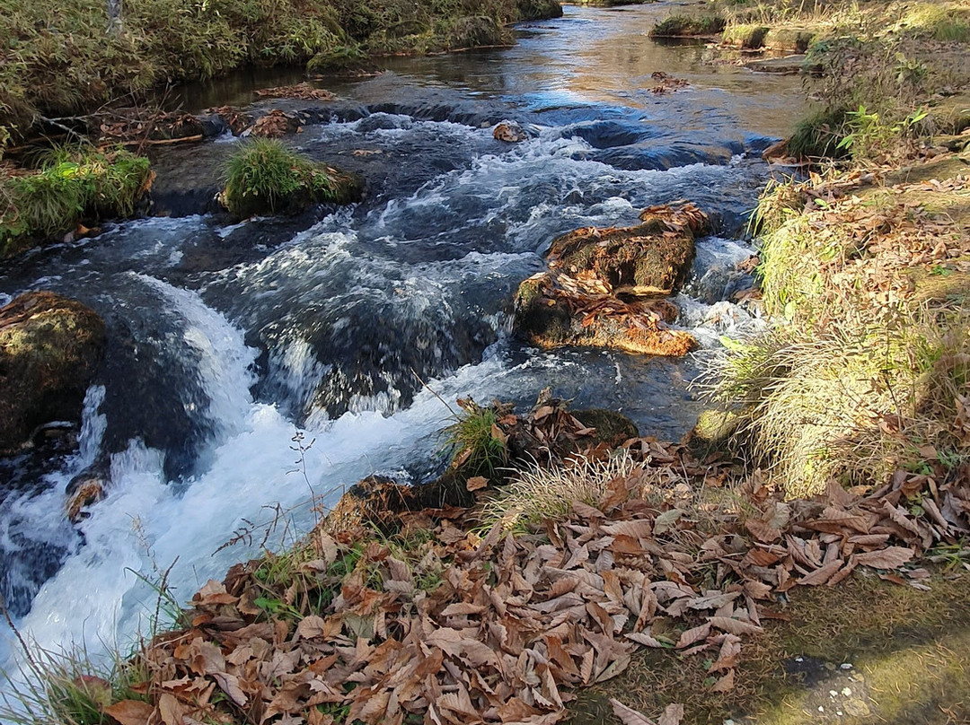 Senjogahara Field-日光市必去景点
