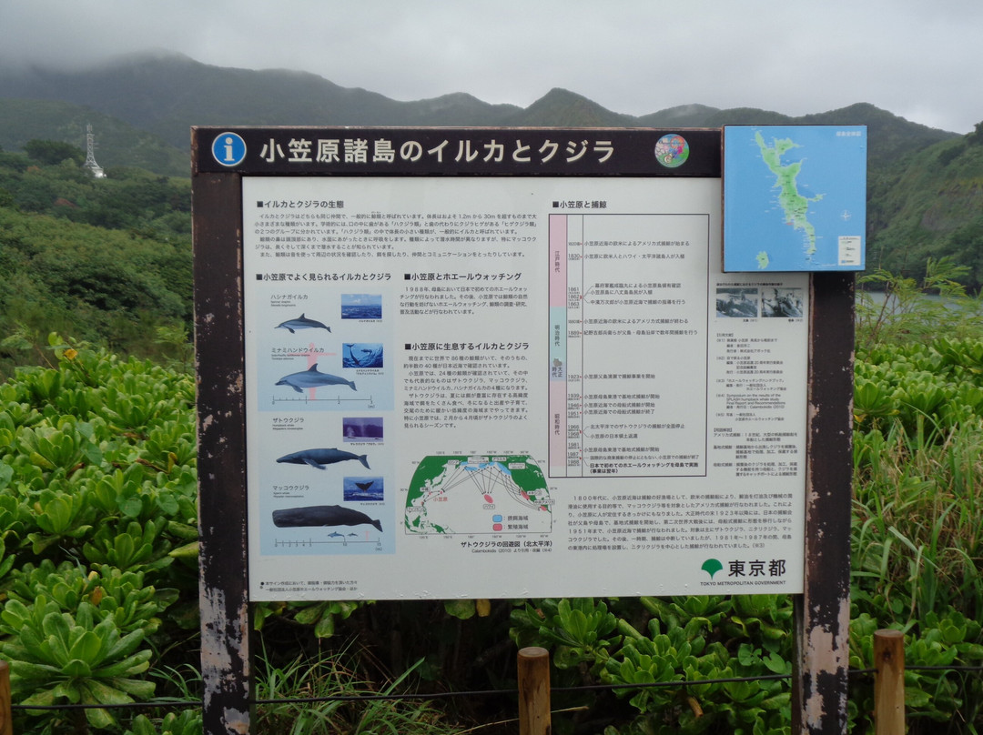 Ogasawara National Park-小笠原村必去景点