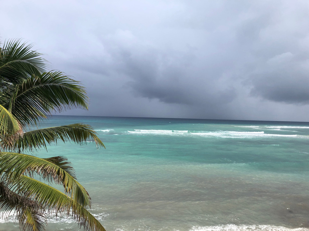 Luna Azul Condominiums主图