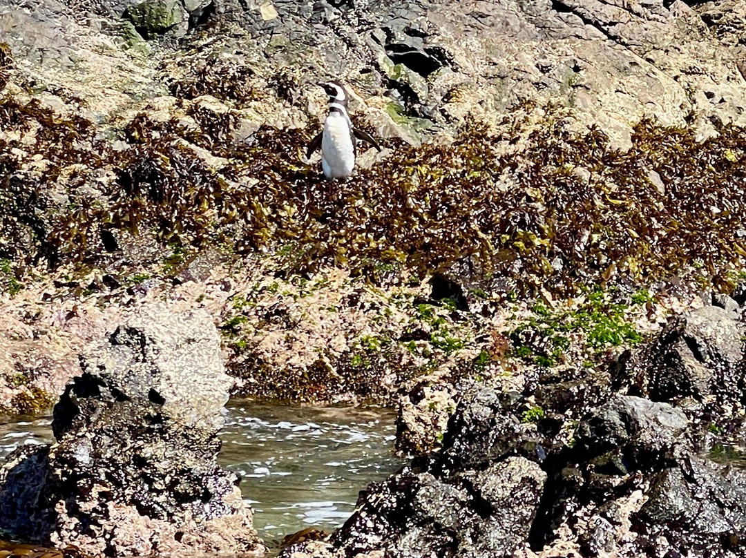 MH Travel & Guide-巴拉斯港必去景点