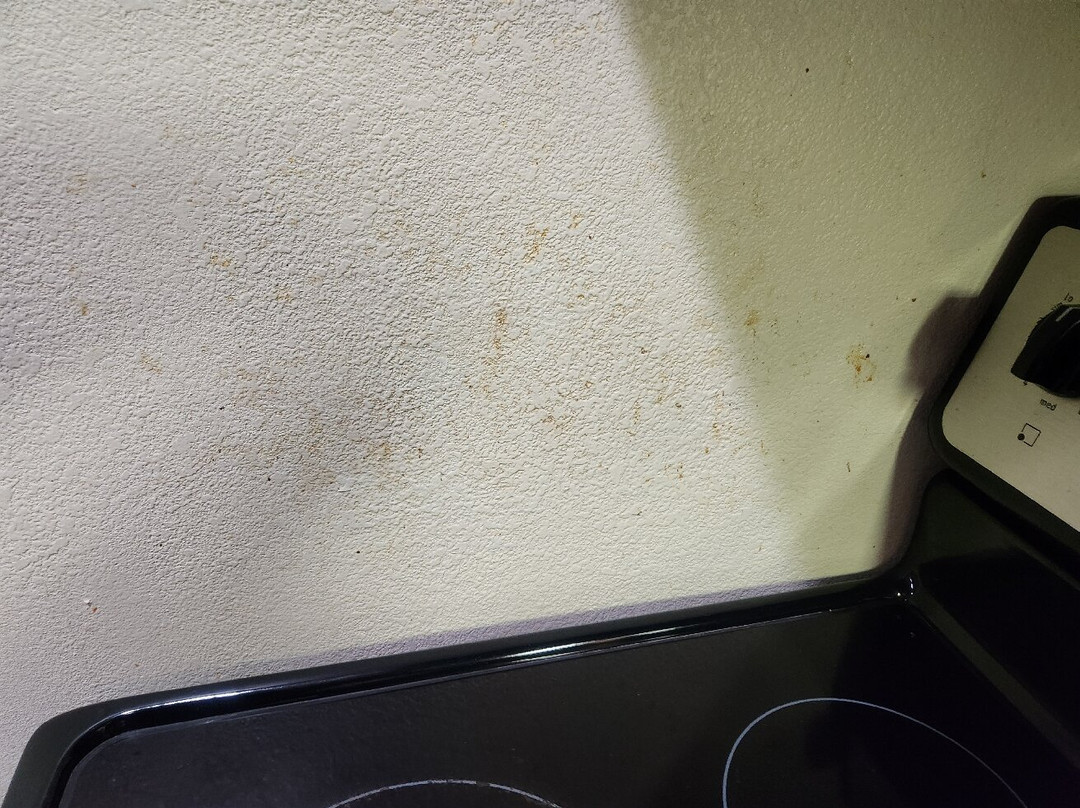 Residence Inn Kalamazoo East主图