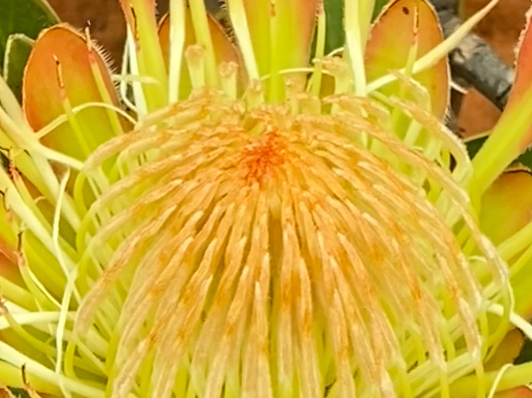 Ocean Grove Guest House主图