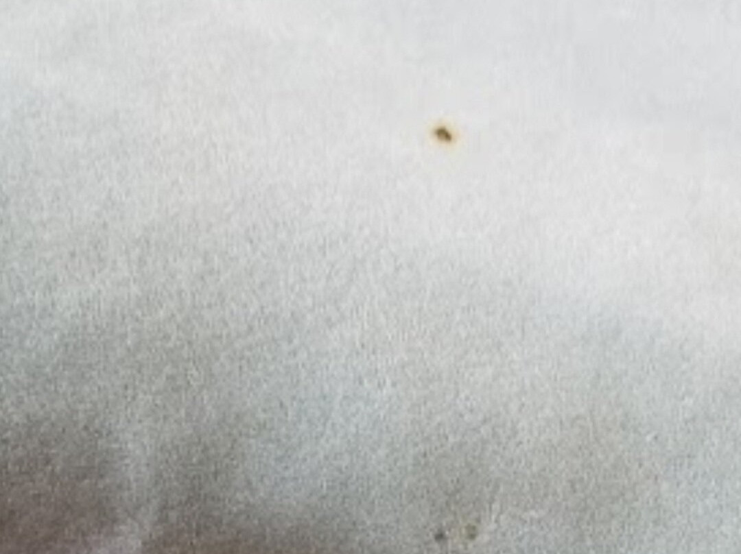 Super 8 by Wyndham Paris IL主图