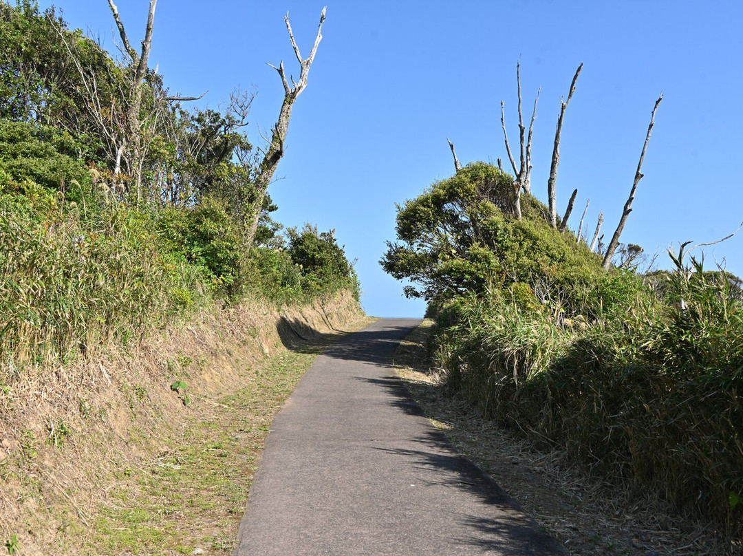 Miyakozaki-大和村必去景点