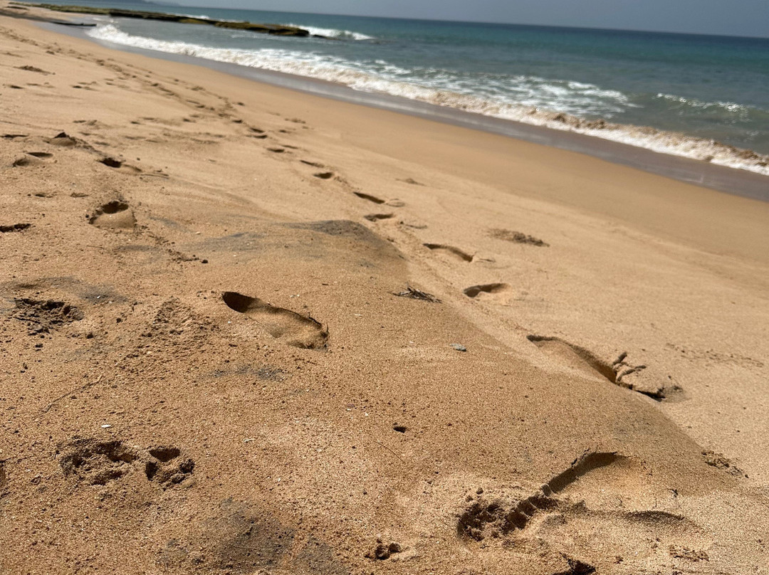 Sankarest Villa主图