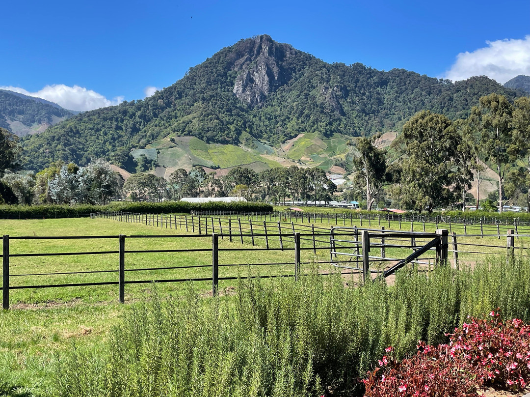 Haras Cerro Punta景点图片