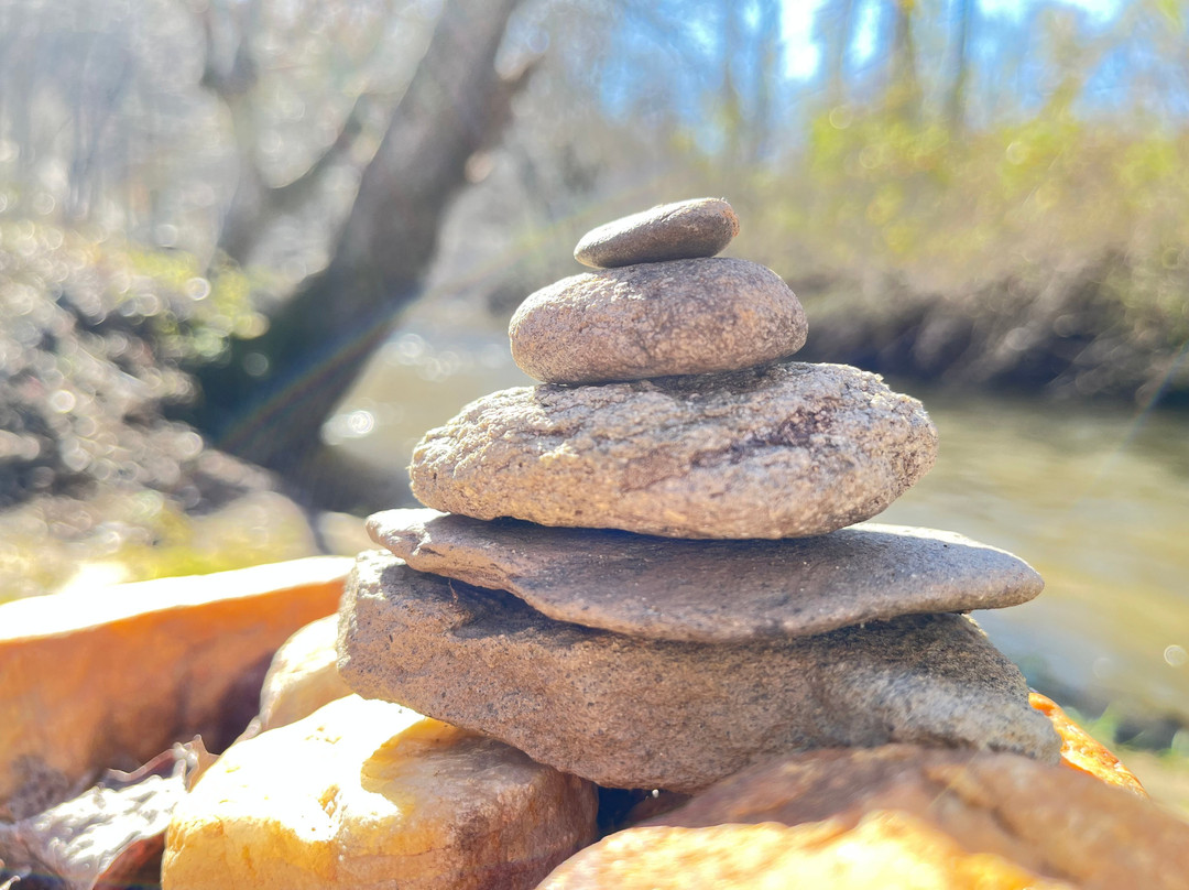 Marie's Lavender Farm