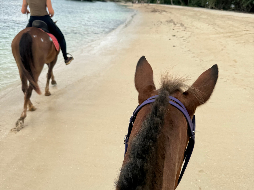 Hacienda la Suerte-拉斯特拉纳斯必去景点